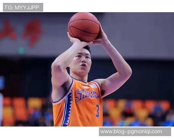 李根的篮球之路：从青涩少年到职业赛场的辉煌历程与心路历程